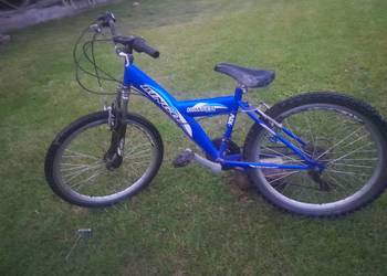 Rower mtb 24"