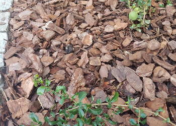 Kora sosnowa Ziemia uniwersalna Torf kwaśny Kompost Nawóz Obornik