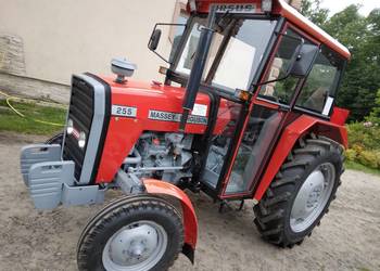 massey ferguson 255 zarejstrowany idealny po remoncie