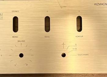 WS 303 panel przedni