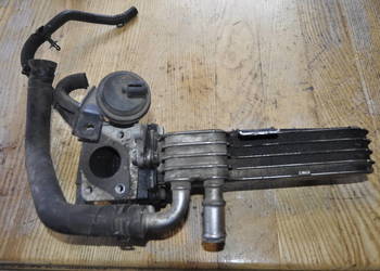 Chłodnica Spalin Egr VW, Seat , Audi 038131513AD