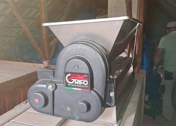 Grifo DMCI-G – młynkoodszypułkowarka elektryczna z gumowymi wałkami