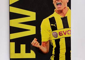 Robert Lewandowski - Sylwetka piłkarza