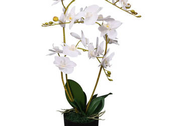 Sztuczny storczyk z doniczką 65 cm biały WM-244423