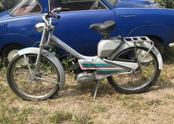 Komar motorynka zak rys