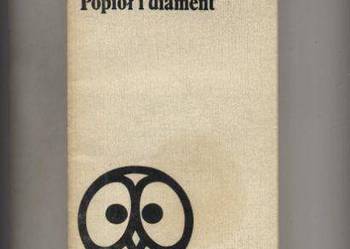 Popiół i diament -Jerzy Andrzejewski