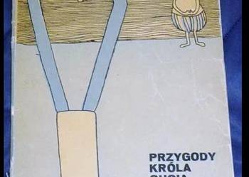 Przygody króla Gucia i króla Maciusia - Ewa Maria Ostrowska