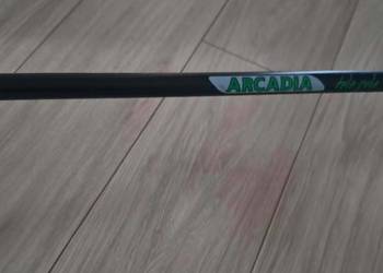 Bat 5 metrowy arcadia tele pole Jaxon