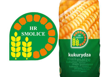 Materiał siewny kukurydza SM Prezent FAO 240-250 Promocja