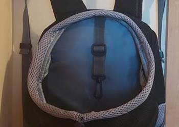 Transporter dla pupila