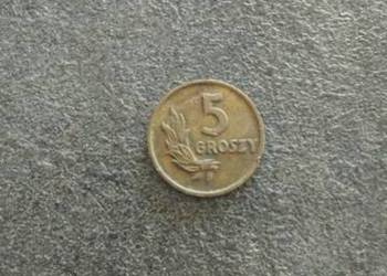 Moneta 5 groszy 1949