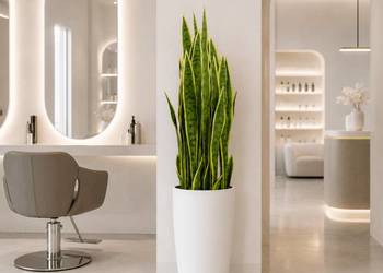 Sztuczna sansevieria ( kwiat szable ) w doniczce 90 cm jak żywy dekoracja