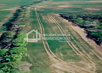 Grunt Bychowo 3000m2