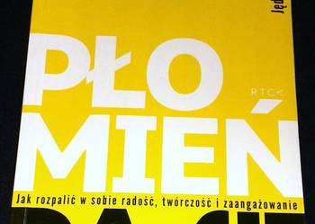 Płomień pasji - Wojciech Jędrzejewski OP