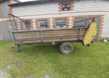 Rozrzutnik obornika polski