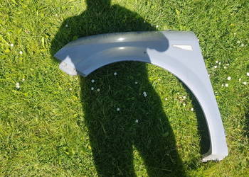 renault scenic II  blotnik lewy