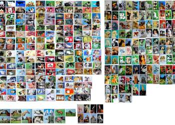 Stare pocztówki PRL Koty Psy Konie około 400 sztuk i 2 albumy