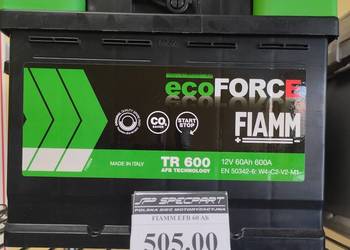 AKUMULATOR 60 AH 600 A FIAMM   ECOFORSE EFB W. KADŁUBKA 39 SZCZECIN