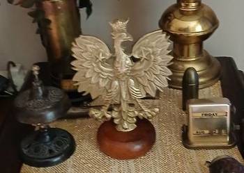 Orzeł mosiężny.  REZERWACJA