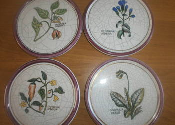 PLANTORGAN  porcelana talerzyki 6 sztuk  kolekcjonerskie