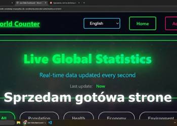 OKAZJA: Gotowy serwis "Licznik Światowy" – Twój pasywny dochód pod klucz!