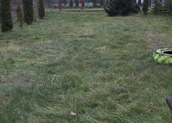 Działka ROD Tulipan