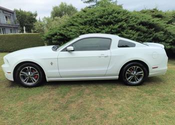 Ford Mustang  3.7 V6 305 KM Automat | Rocznik 2014 | Czarna Skóra |