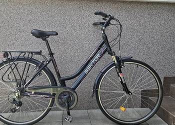 Rower sektor trekking 1.0