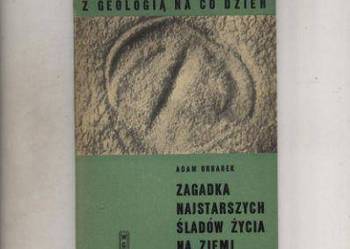 Zagadka najstarszych śladów życia na Ziemi
