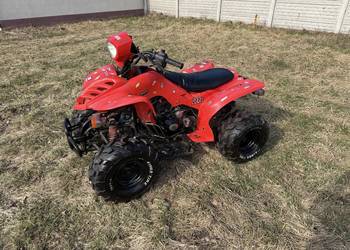 Quad bashan 200cm na dużej wygodnej ramie wał kardana 4+1R