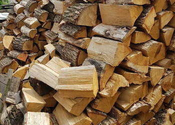 Drewno kominkowe Wrocław