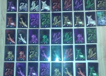 karty kolekcjonerskie 51 sztuk