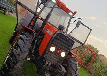 Ursus5314