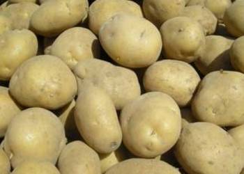 Ziemniaki Denar i Soraya