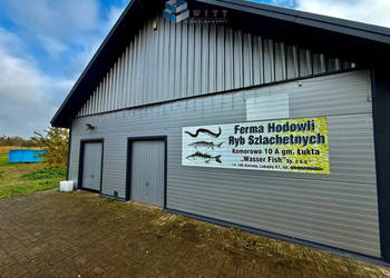 Lokal 342 metry Łukta