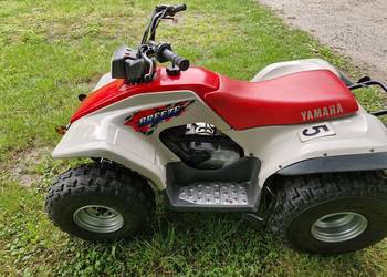 Quad yamaha breeze 125