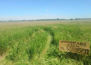 Sprzedam łąkę