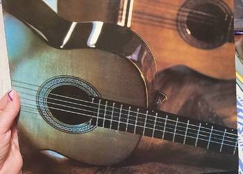 Klaus und Rainer Feldman - płyta winylowa w stanie bardzo dobrym