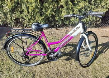 Rower Luna Lizard 26"