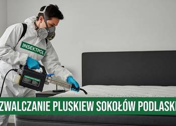 Zwalczanie Pluskiew Sokołów Podlaski - Odpluskwianie, Dezynsekcja