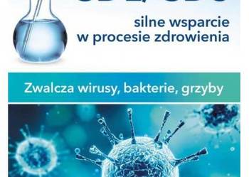 CDL/CDS silne wsparcie w procesie zdrowienia Antje Oswald