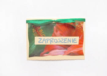 ogólne zaproszenie na rózne okazje, proste zaproszenia puste ogólne zaproszenie na rózne okazje, proste zaproszenia puste