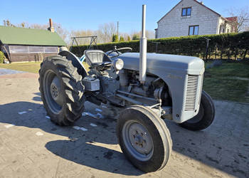 Zabytkowy ciągnik MASSEY-HARRIS-FERGUSON TEF 20 (TEF 439879) DIESEL (1955 …