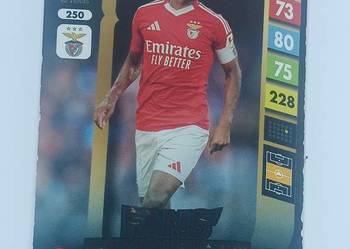 Joako Mario 250 karta Fifa 365 Adrenaline XL 2025