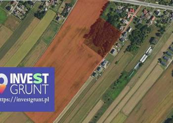 [21,75 ha] przetarg na dzierżawę gruntów rolnych