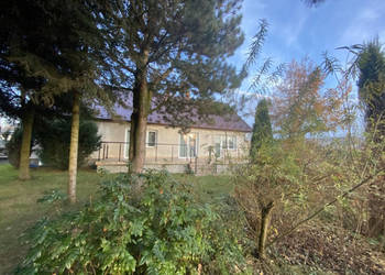 Sprzedam siedlisko ;dom halę warsztatową , 2 garaże