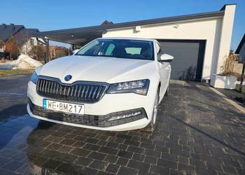 Piękny perłowy kolor, bezwypadkowa