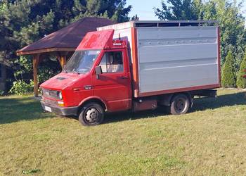 Iveco daily do przewozu zwierząt bydła, cielat, koni