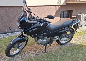 Suzuki xf 650
