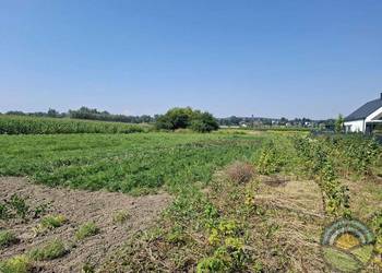 Niegoszowice gm. Zabierzów - płaska działka 4407 m2